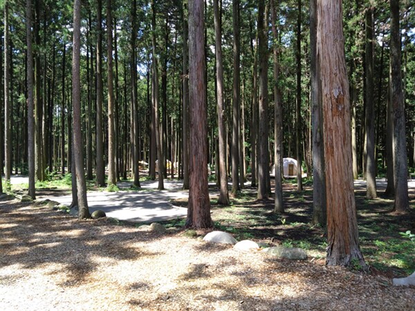 天然温泉や紅葉狩りが楽しめる！秋に絶対に行きたいキャンプ場まとめ