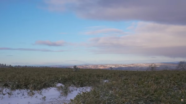 正直なめてた…10cm積雪×強風の雪中車中泊が想像以上だった