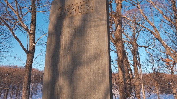 冬の北海道で車中泊は危険？−10℃ホワイトアウトで見えたリスク