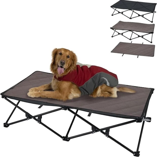 “地面の冷え”から愛犬を守る。冬キャンプで活躍する犬用ベッドおすすめ3選