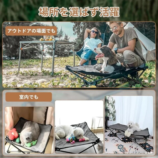 “地面の冷え”から愛犬を守る。冬キャンプで活躍する犬用ベッドおすすめ3選
