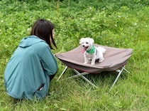 “地面の冷え”から愛犬を守る。冬キャンプで活躍する犬用ベッドおすすめ3選