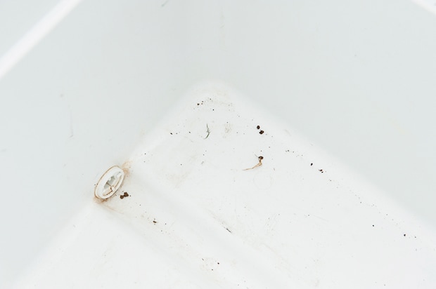 放置するとカビる…キャンプギアの“正しい乾かし方”だけ覚えよう