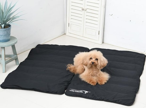 地面からの冷気が危険。愛犬を守る犬用シュラフ5選
