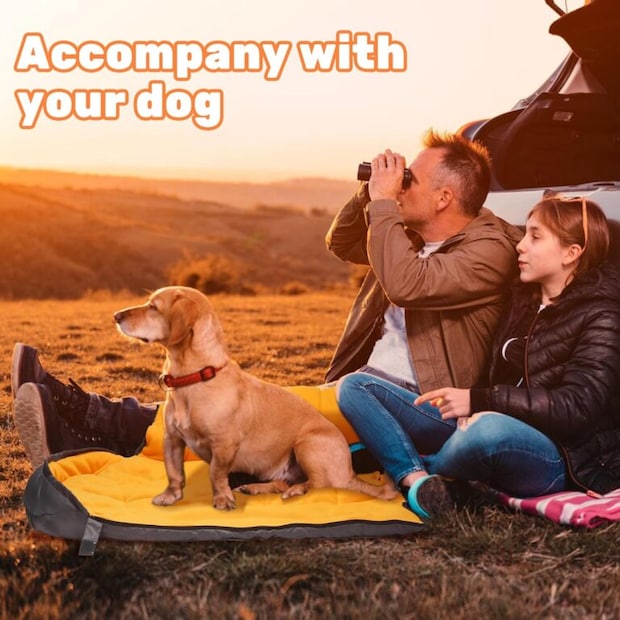 地面からの冷気が危険。愛犬を守る犬用シュラフ5選