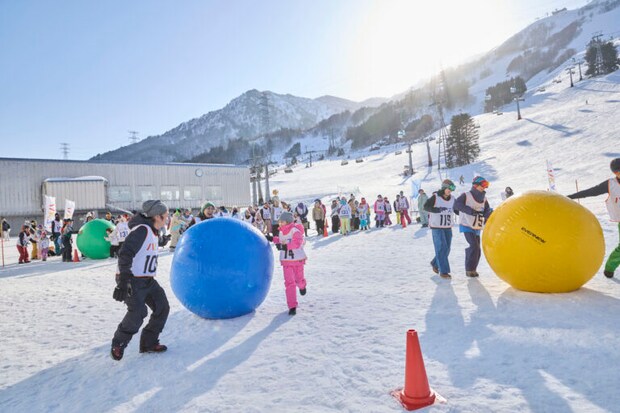 雪育新潟フェス@苗場雪上大運動会大玉転がし
