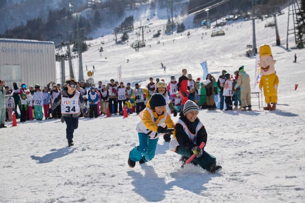 雪育新潟フェス@苗場雪上大運動会スノーフラッグ