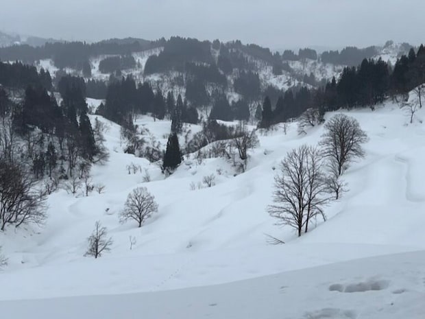 蒲生の棚田（十日町）「かんじきウォーク」体験