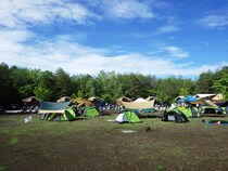 真似したい！ファミキャンの上級者が実践するキャンプのレイアウトとは！？