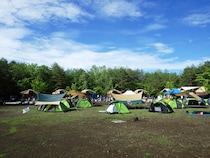 真似したい！ファミキャンの上級者が実践するキャンプのレイアウトとは！？