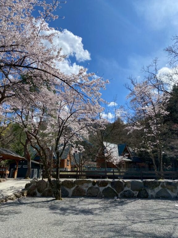 “四季を楽しむ篠沢大滝キャンプ場”キャンプの醍醐味すべてが揃う高原フィールド