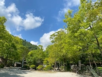 “四季を楽しむ篠沢大滝キャンプ場”キャンプの醍醐味すべてが揃う高原フィールド