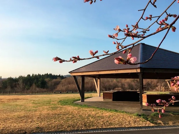 ランドリー設備のあるキャンプ場12選【秋田県・山形県】