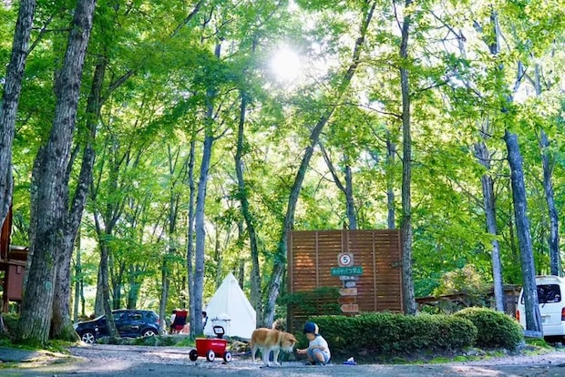 ランドリー設備のあるキャンプ場12選【福島県】