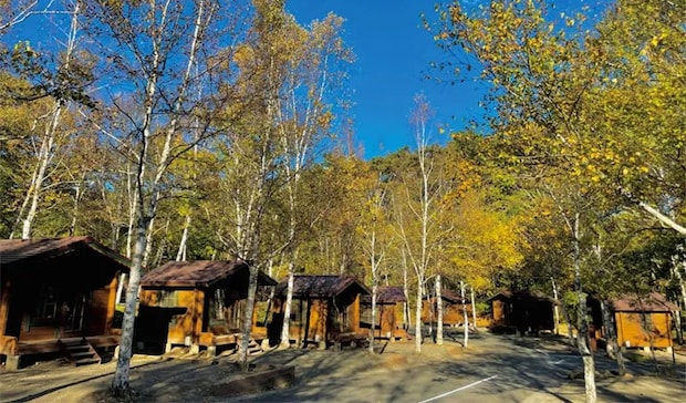 ランドリー設備のあるキャンプ場18選【山梨県】
