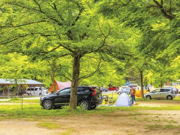 ランドリー設備のあるキャンプ場7選【神奈川県】