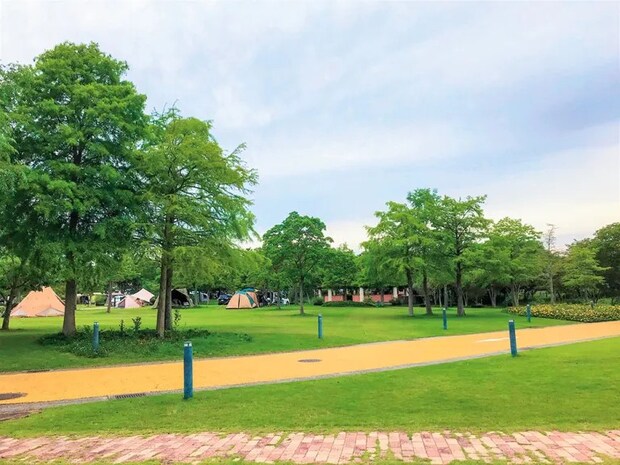 AC電源のあるキャンプ場15選【京都府・大阪府・兵庫県】