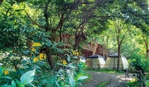 ランドリー設備のあるキャンプ場9選【埼玉県】