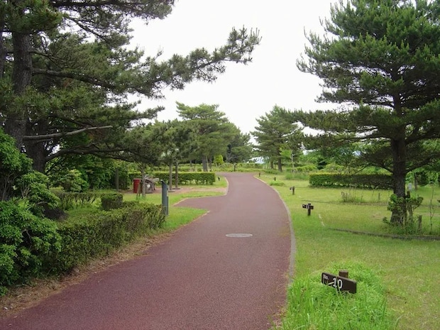 ランドリー設備のあるキャンプ場16選【静岡県】