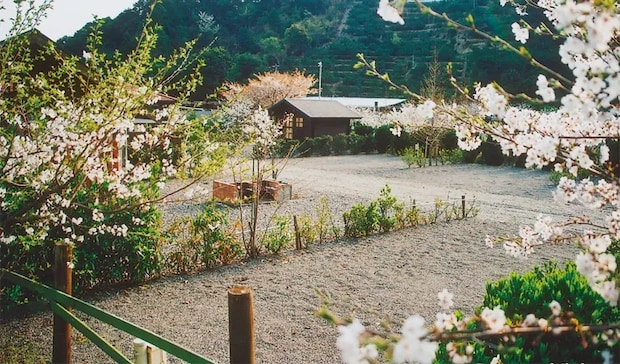 きいながしま比幾海岸オートキャンプ場 - 緑の小山の中にある