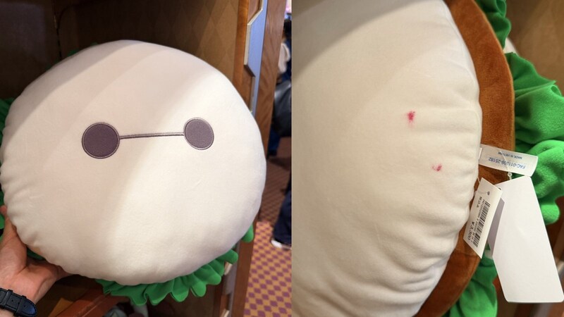 〈ディズニー客マナー炎上〉「買わないのに触るな・撮るな!」 メイクで汚れたぬいぐるみ写真が波紋 オリエンタルランドの見解は?