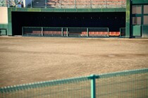 長嶋茂雄の悪口を記者に話す野村克也、原辰徳を呼び捨てにした星野仙一。令和のいま、プロ野球には「オヤジ」的役割の監督が必要だ