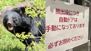 「人が襲われ骨だけ残された例も…」目撃情報は例年の8倍、市職員の装備はヘルメットと盾、スプレーだけ、追いつかない駆除の実状〈秋田“クマ被害”が限界〉