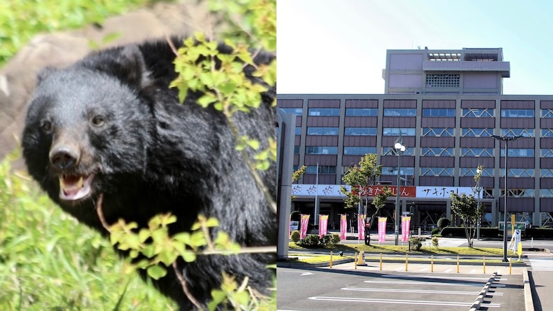 「クマさっさと絶滅させろ」“過激派”の電凸多数で役所は困惑「業務に支障をきたす」「共生目指す」しかし維新議員も参戦「管理できていないクマは全て駆除すべき」