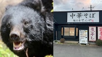 〈青森・クマがラーメン店襲撃〉「笑えないです」ボコボコにしてクマを返り討ち“レジェンド”と賞賛された男性はまぶたが腫れあがり骨折「補助金なし」で休業せざるえないオーナーの慟哭