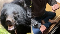 「逃げたら死ぬ」襲ってきたクマをボコボコに殴り大外刈りで“返り討ち”にしたラーメン店員（57）の告白「クマは硬かった」右目付近は10針の傷、脇腹は骨折〈青森・クマラーメン店襲撃〉【2025 クマ被害記事 3位】