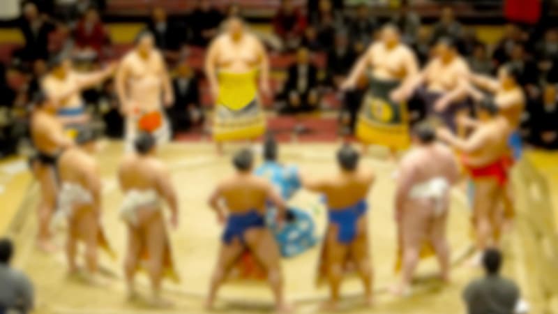 史上最高額はダイヤ入りの1億5000万円、実は百貨店で買える大相撲の「化粧まわし」…関取の現役引退後の行方は？