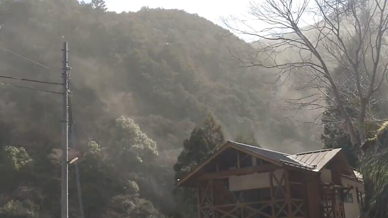 「何十年ぶりの光景」山火事と思うほどの花粉がSNSで話題に 東京・奥多摩で撮影された衝撃の光景を現地で確かめた