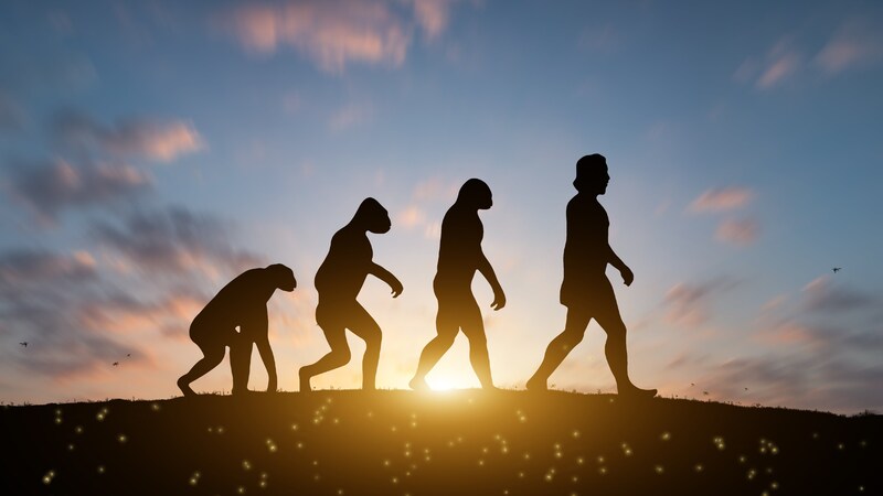 人類はなぜ戦争を始めたのか？「自分が属する集団を思いやるがゆえに外に敵を作る」生存のために必要だった共感力が、所有権を争う暴力へと変わった1万2000年前