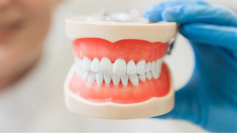 「歯磨きしない方が健康?」常識を覆した“旧石器食”のヤバすぎる結果「4週間歯を磨かなかったにもかかわらず、口腔内環境全体が改善された」