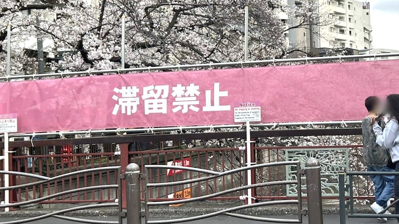 〈桜を遮る横断幕〉「注意の声がうるさい」「嫌な世の中になってしまった」中目黒で花見客が困惑 区に聞いた規制強化の理由