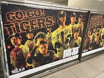 阪神ファン女子の4人に1人が“他球団から乗り換え”していた…元推し球団の意外な1位、2位の球団とは