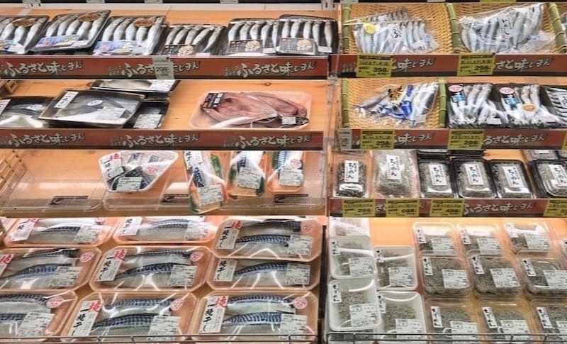 なぜ今「イワシ」が大量に獲れるのか？  安すぎる店頭価格の裏で“魚種交代”が起きている日本の海の異変