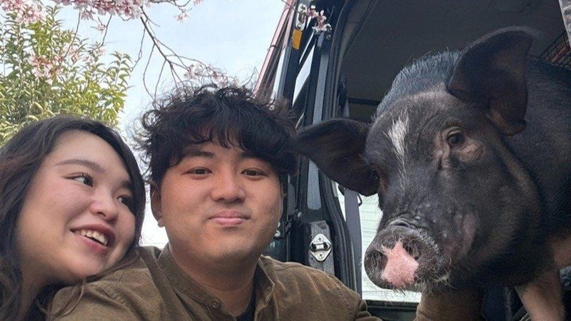 〈ブタを飼う夫婦〉「僕たちの第一子は“ぶひまる”」第一子誕生予定で注目される“家族のカタチ”と“ブタ会”の意外な実態