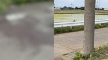 ≪高崎・28歳女性殺害≫「助けて…」駐車場に倒れた血まみれの女性、居合わせた男は女性の車で事故死「これはおそらく自爆でしょうね…」と警察官が漏らした凄惨な事故現場