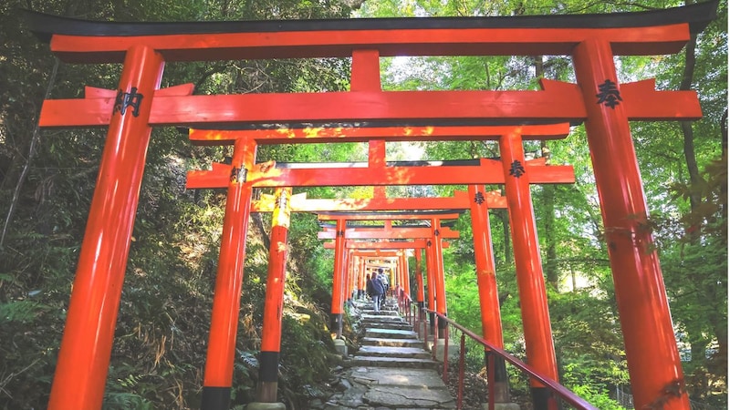 神社に「呼ばれている人」「拒まれている人」に起こること——雨、風、動物が伝える相性のサイン