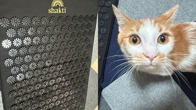 〈拷問マット人気の裏でヤバい代用〉シャクティマットの代わりに100均の「猫よけマット」を身体の下に…専門家が警鐘「知識のない人が自己流でやると危険」