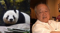 「クマだろ」「なんでその動物にこだわるの」…“アンチ中国” 石原慎太郎が最後は上野パンダ復活を後押しした舞台裏