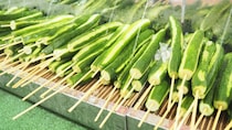 〈冷やしキュウリで510人食中毒も…〉花火大会の「豚の丸焼き」、キッチンカーの「ケバブ」も…酷暑の夏祭りで注意したい食べ物