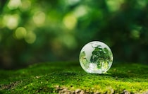 極右はなぜエコロジーを語るのか？ 気候変動懐疑主義と共存する「緑の反動」の論理
