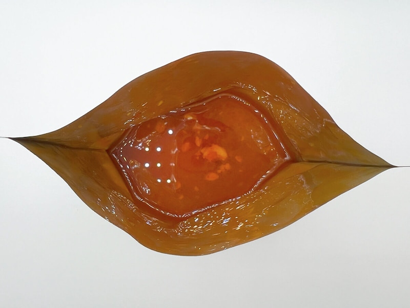 無印良品「素材を生かした 20種スパイスとチキンのスープカレー」が大人気