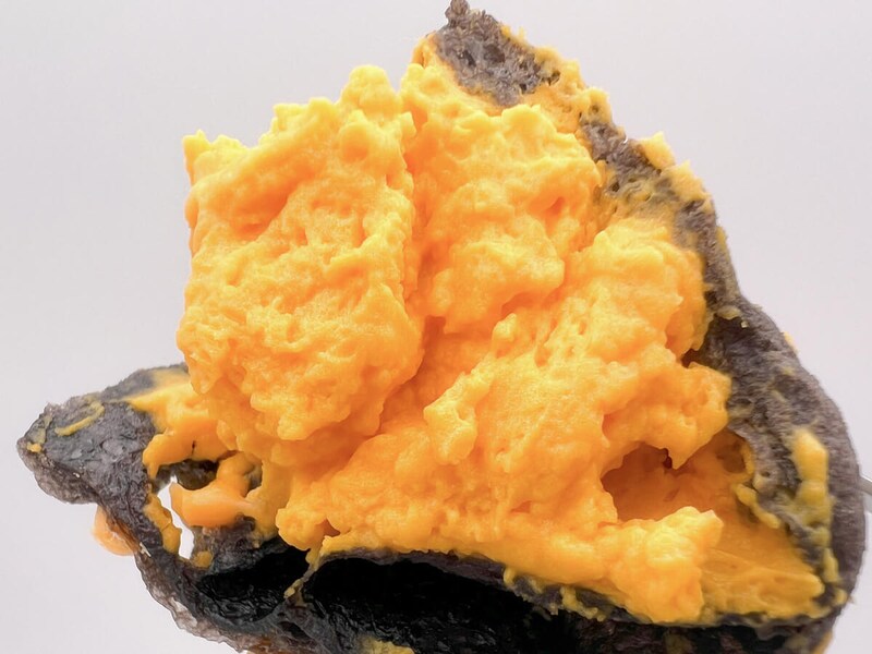 セブンイレブン「パンプキンもこ」