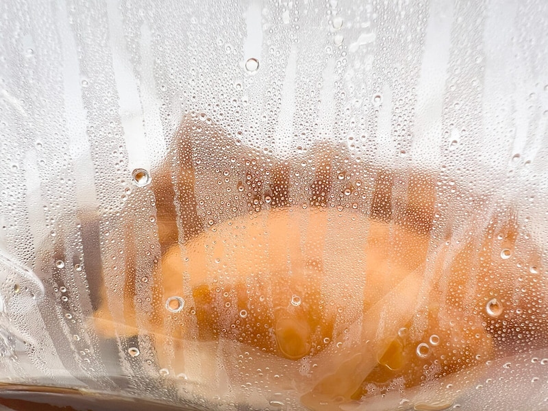 ダイソー「スチームバッグ」