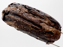 やっぱローソンすごいわ「完璧すぎる」「神の食べ物」「めっちゃ評判いい」「神だった」新作大反響