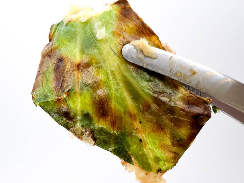 テーブルマーク「ごっつ旨いお好み焼」