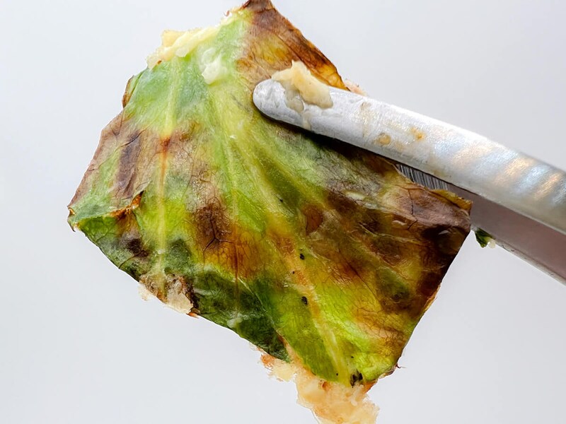 テーブルマーク「ごっつ旨いお好み焼」